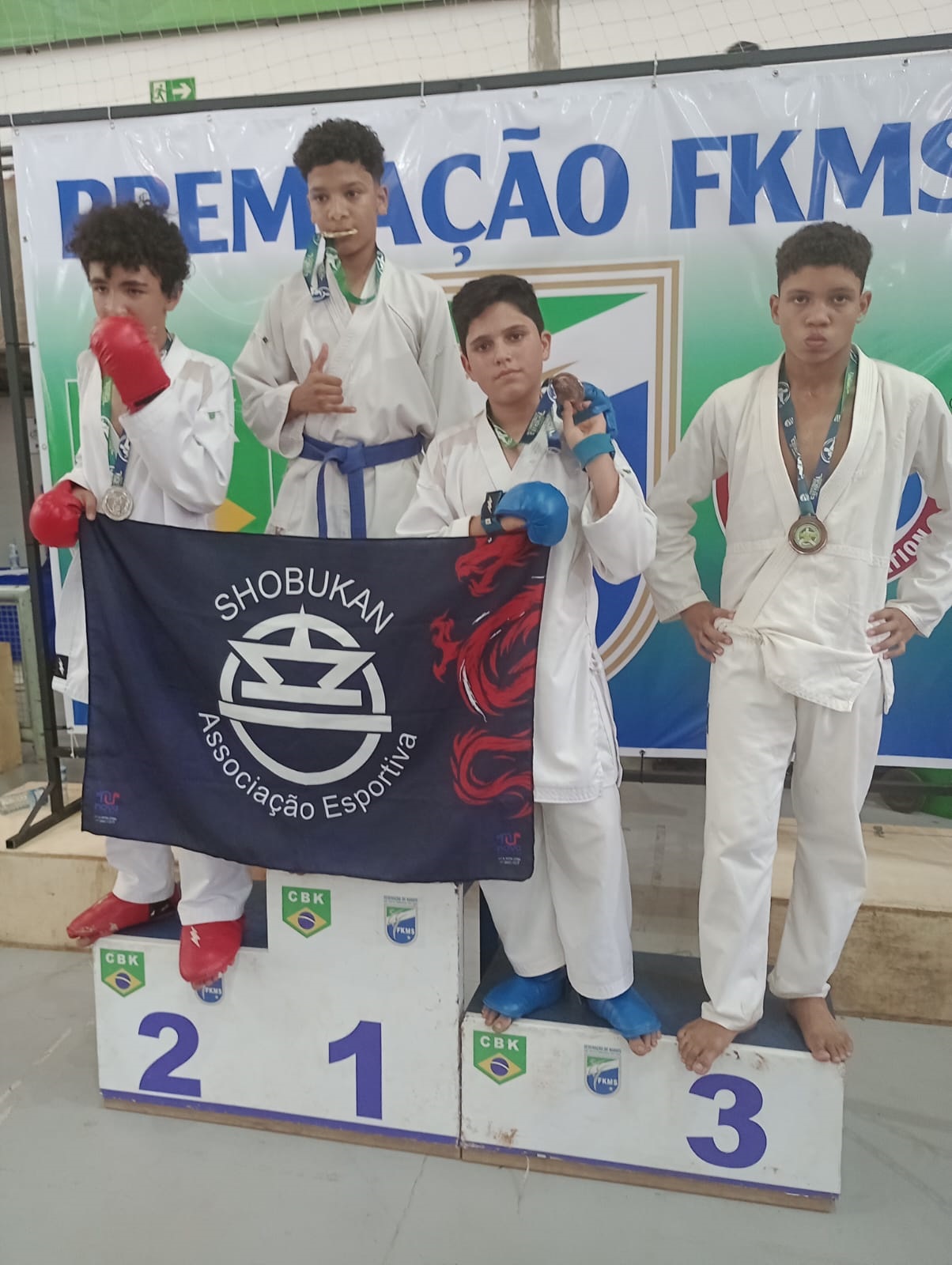 Imagem 3 da galeria